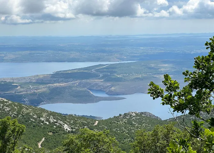 Alex 1 아파트 자다르